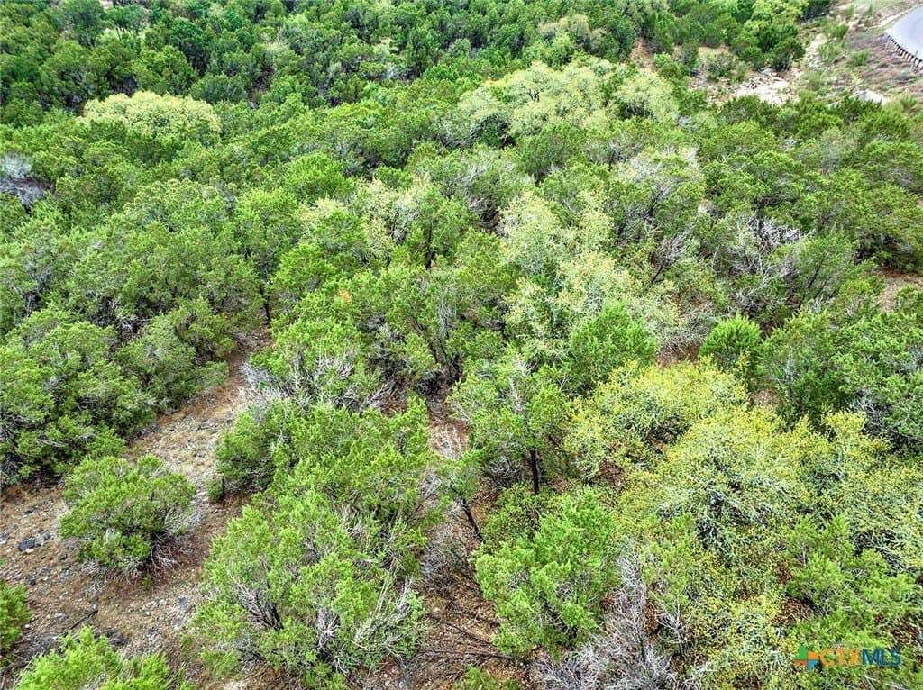 1.5 acres in Comal County - photo 7