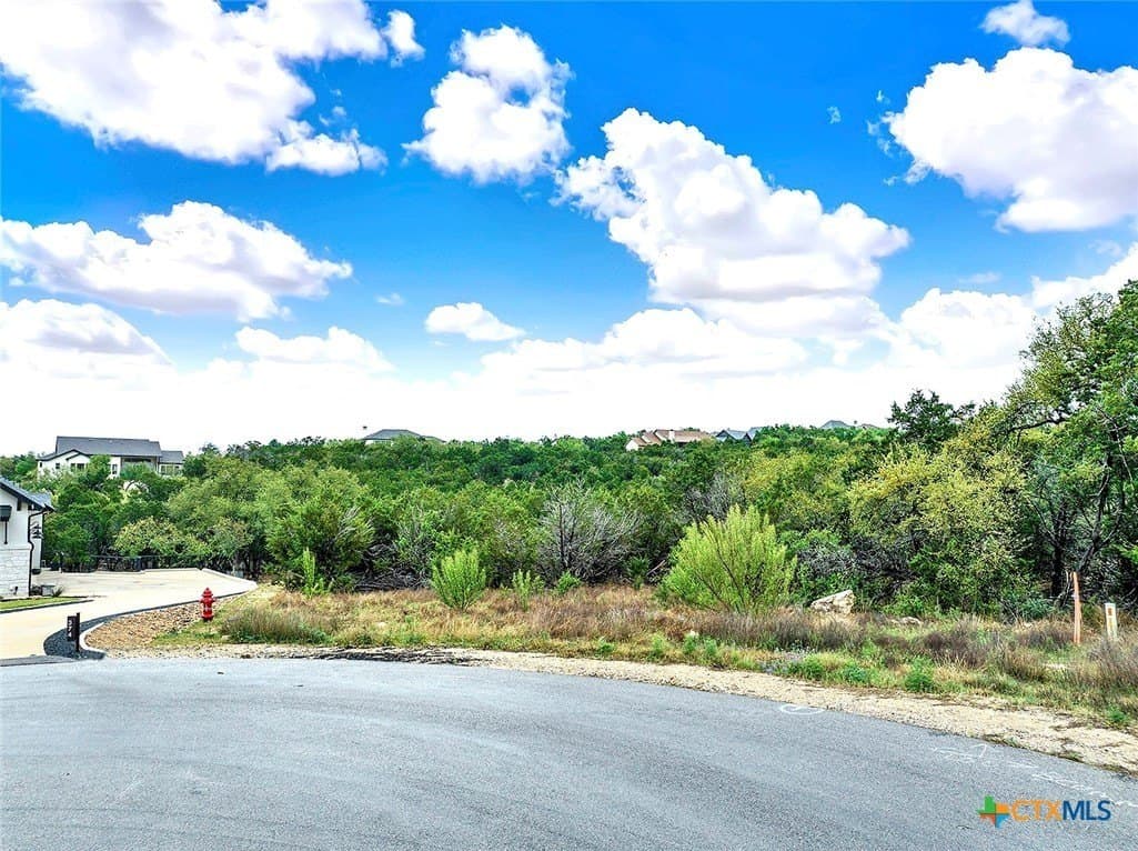 1.5 acres in Comal County gallery image 3