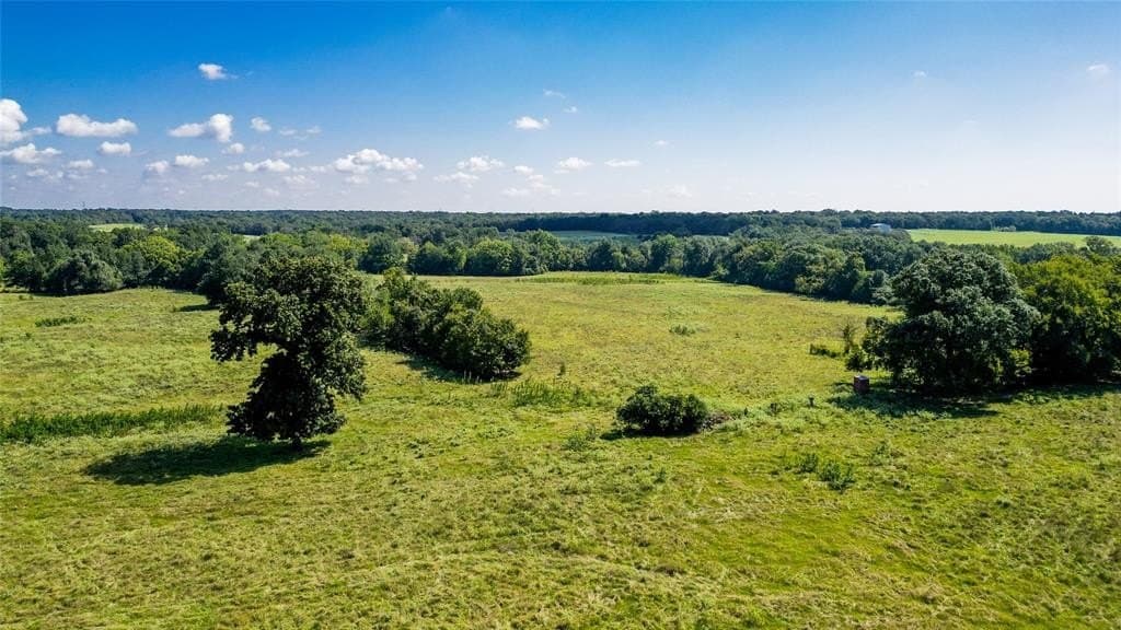 30.29 acres in Limestone County gallery image 4
