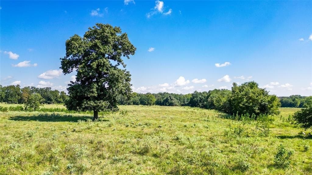 30.29 acres in Limestone County featured view