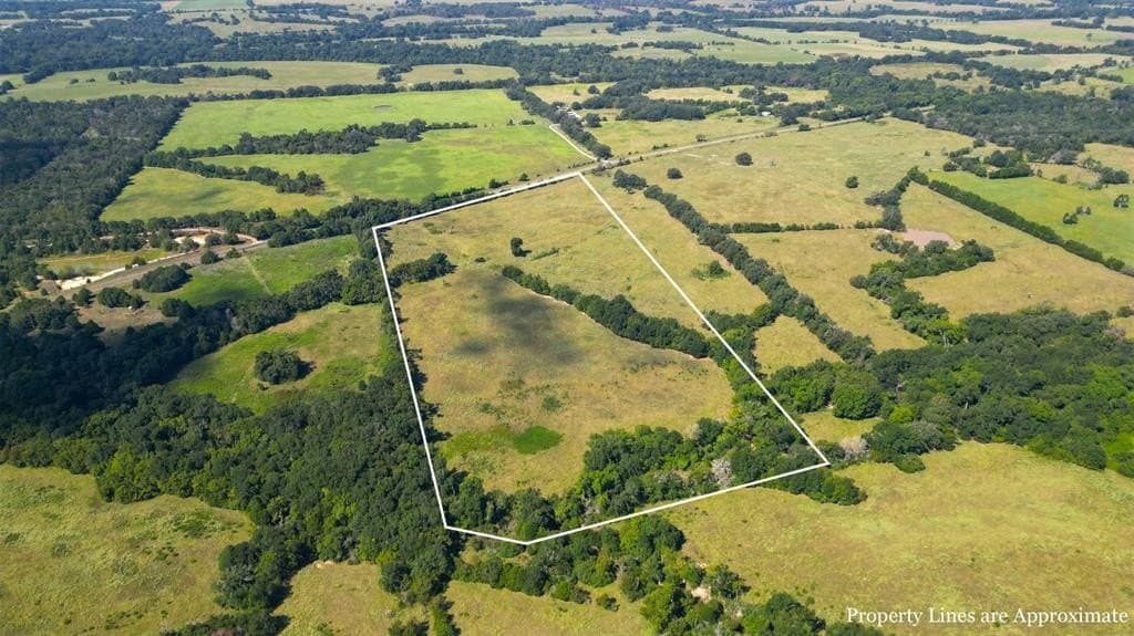 30.29 acres in Limestone County gallery image 2