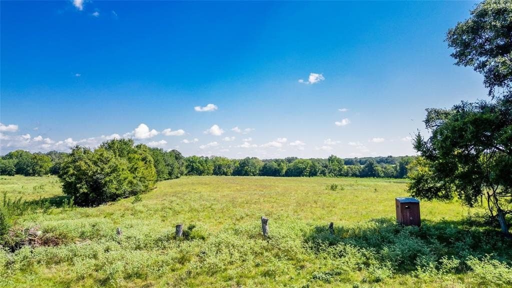 30.29 acres in Limestone County gallery image 3