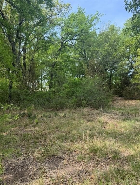 5.54 acres in Parker County gallery image 3