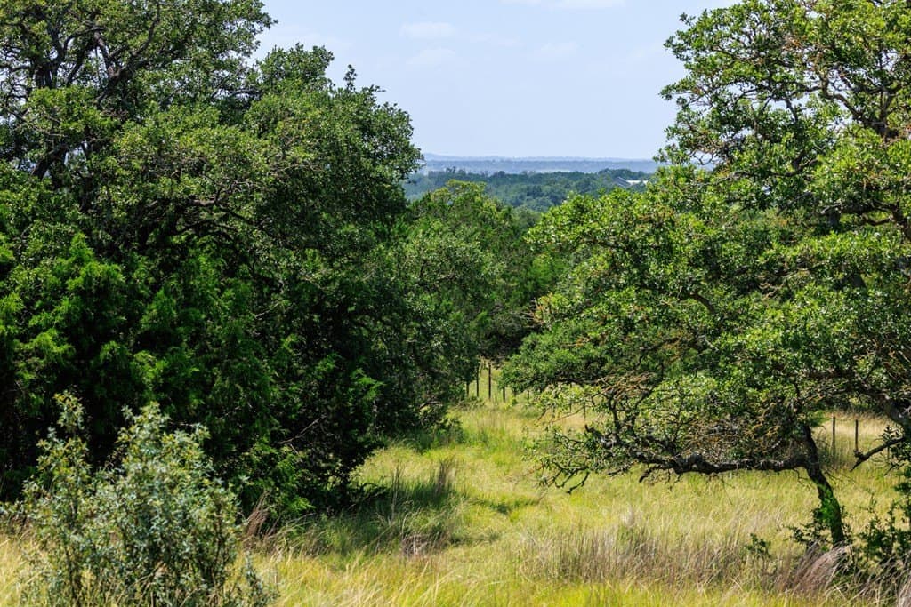 35.4 acres in Gillespie County - photo 12