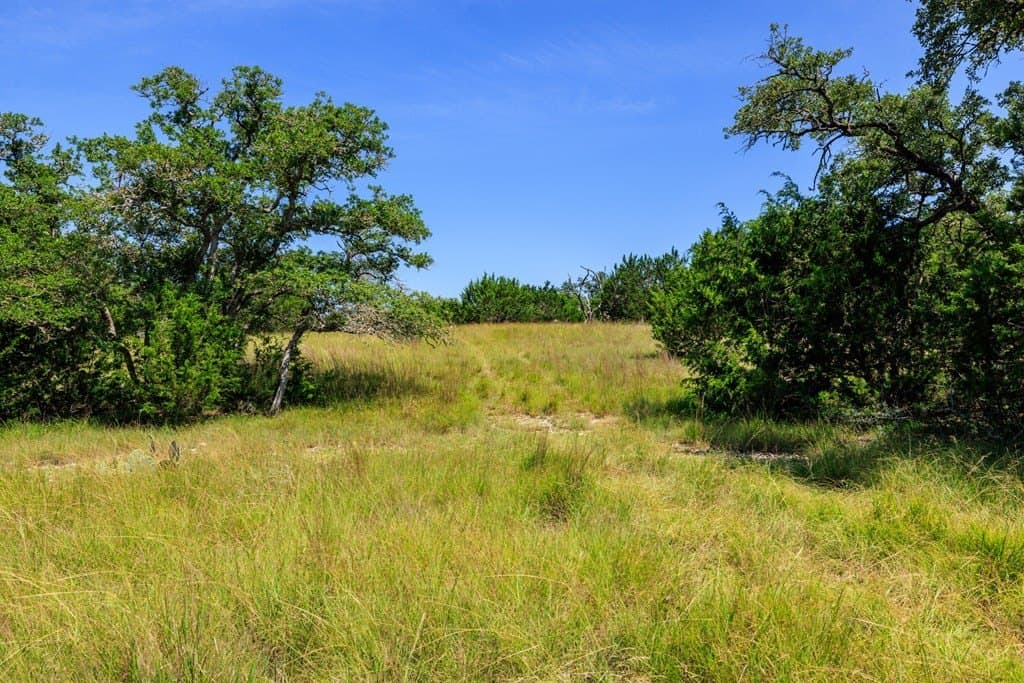 35.4 acres in Gillespie County - photo 11