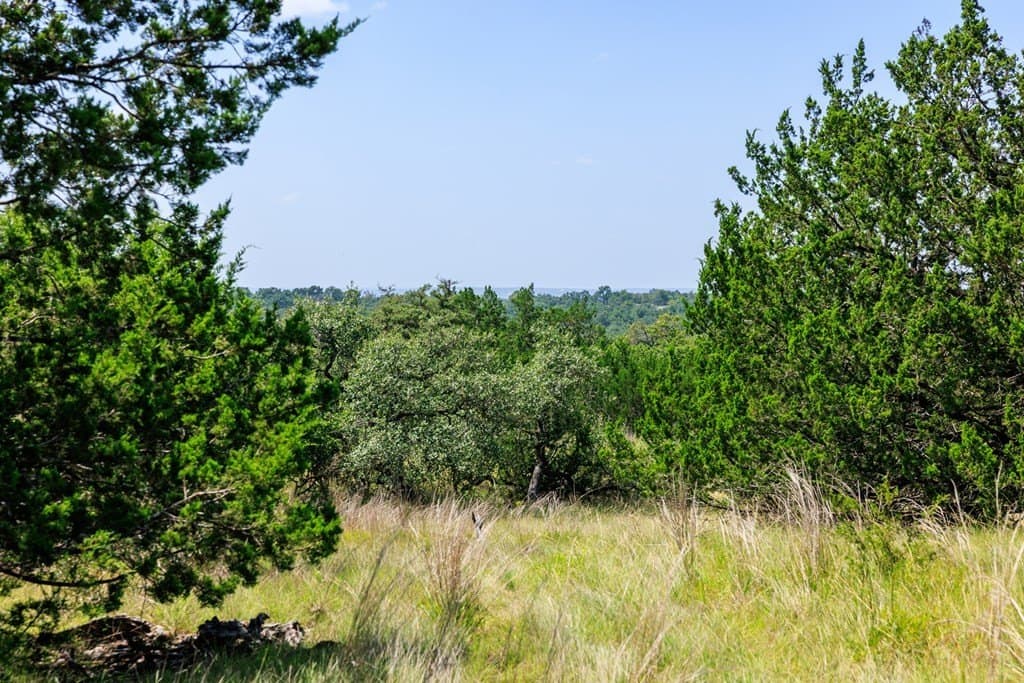 35.4 acres in Gillespie County gallery image 2