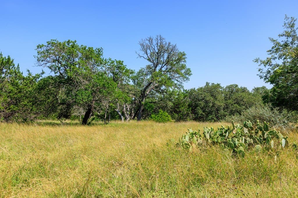 35.4 acres in Gillespie County - photo 17
