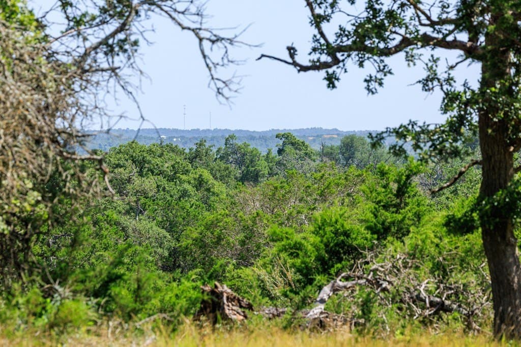 35.4 acres in Gillespie County - photo 20