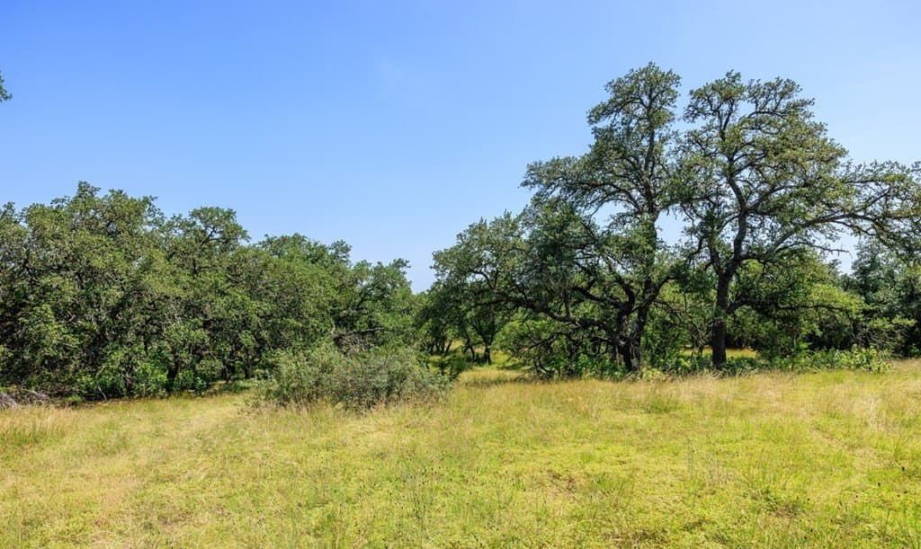 35.4 acres in Gillespie County - photo 18