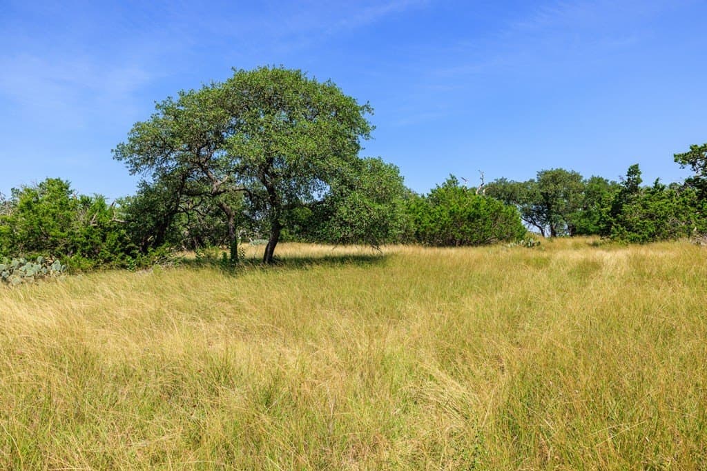 35.4 acres in Gillespie County - photo 13