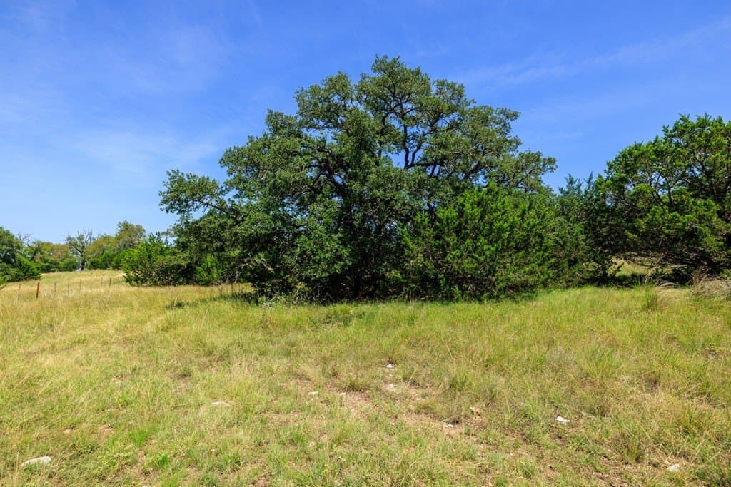 35.4 acres in Gillespie County - photo 10