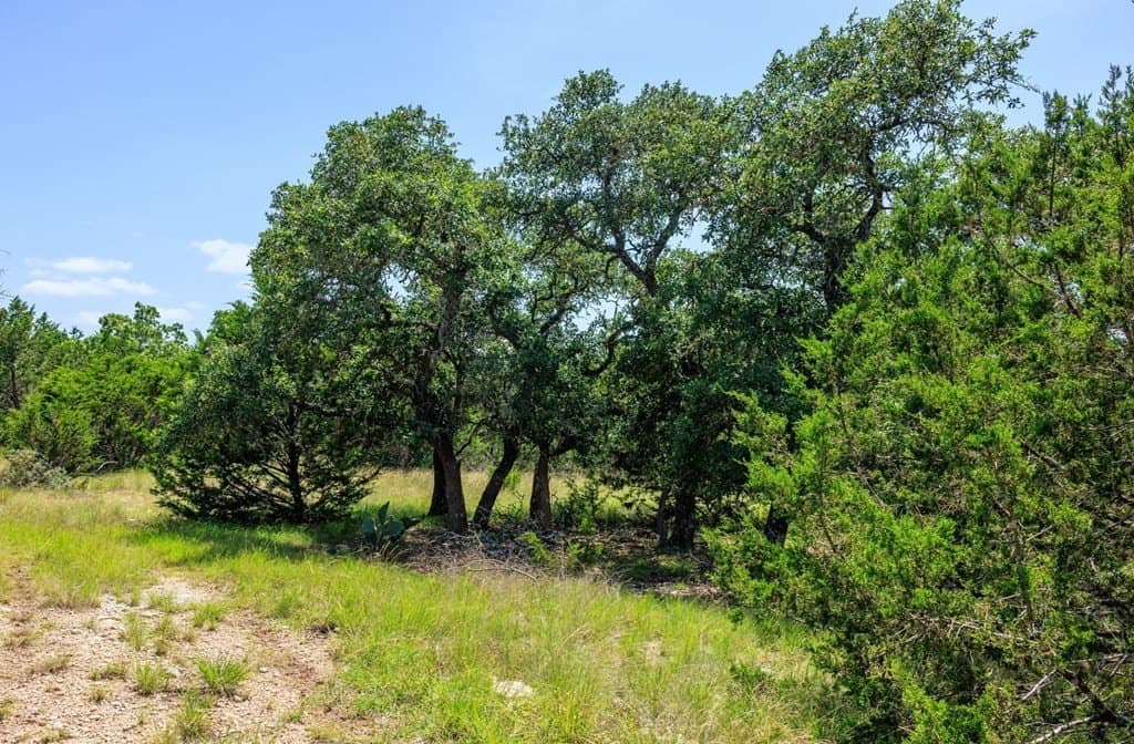35.4 acres in Gillespie County - photo 6