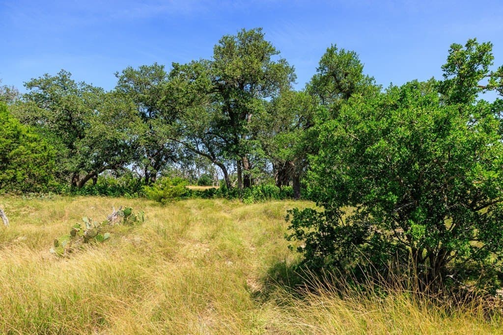 35.4 acres in Gillespie County - photo 14