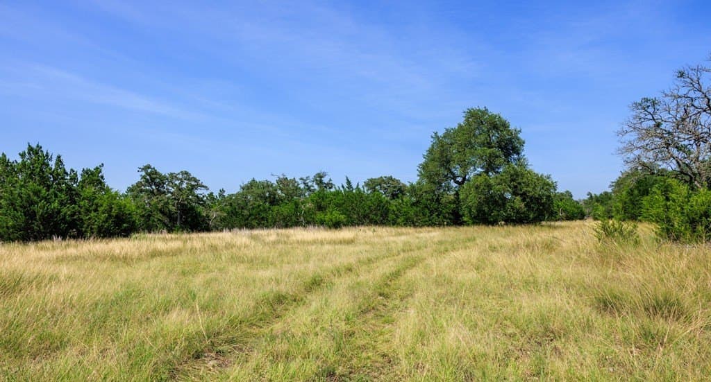 35.4 acres in Gillespie County - photo 19