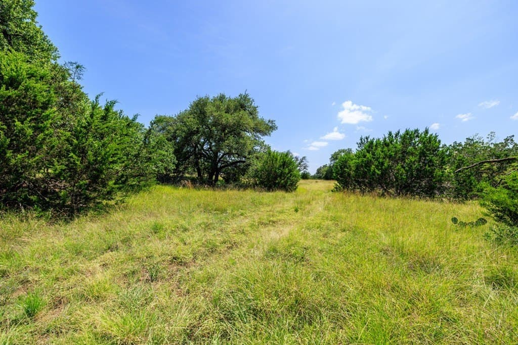 35.4 acres in Gillespie County - photo 9