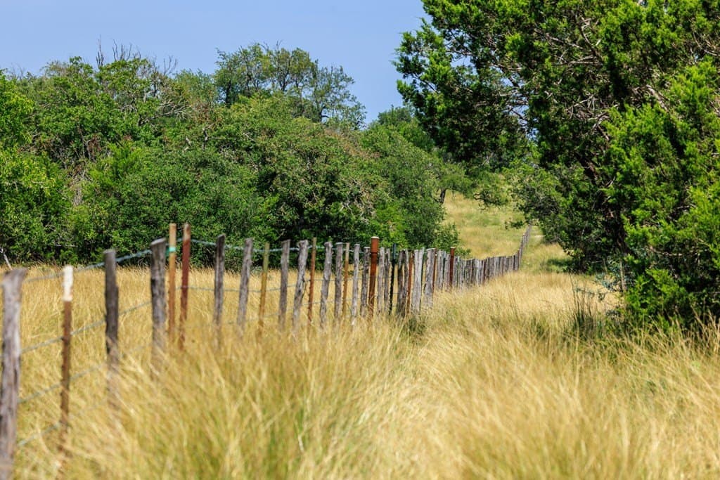 35.4 acres in Gillespie County - photo 8