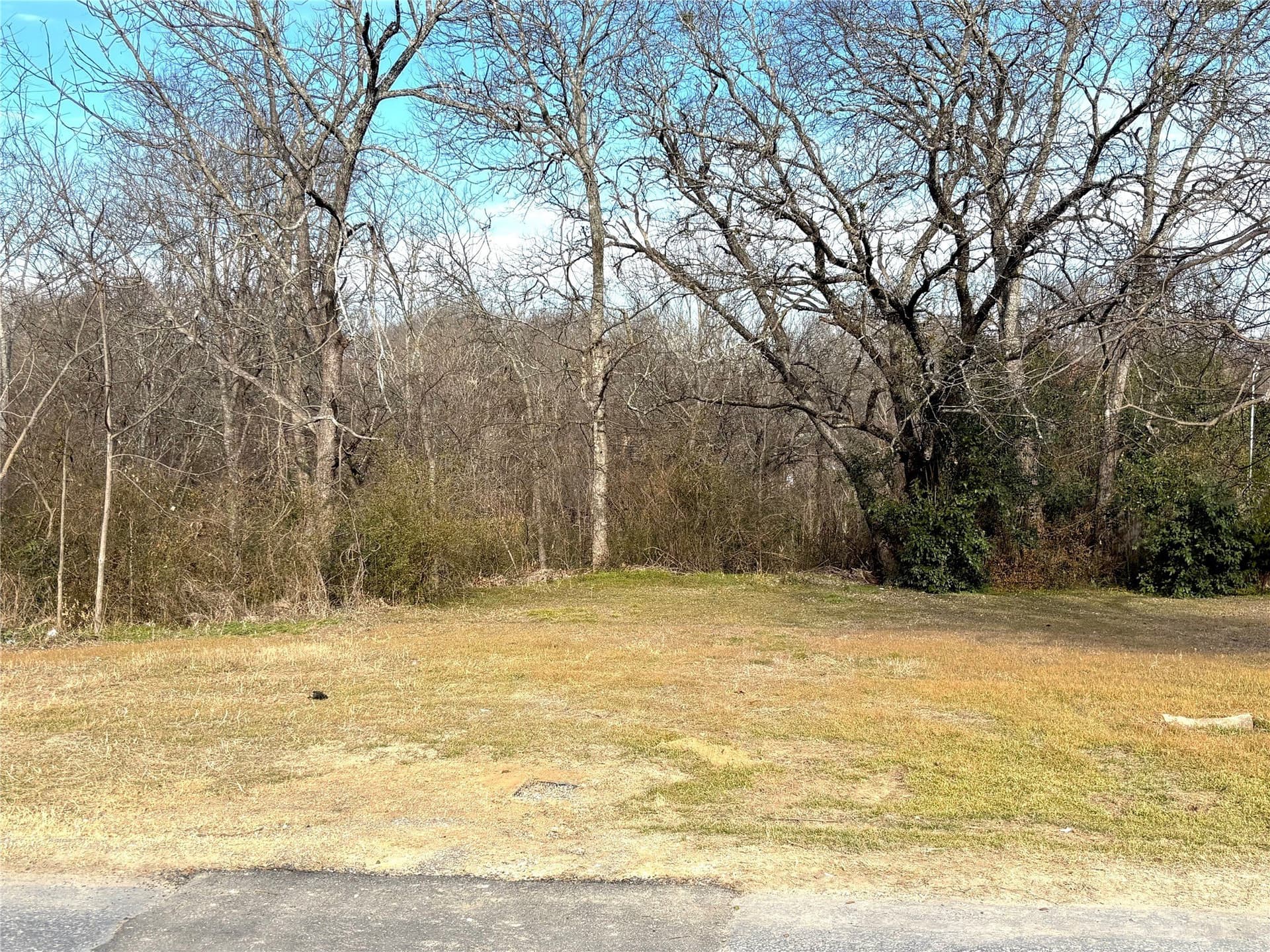 0.65 acres in Ellis County - photo 4