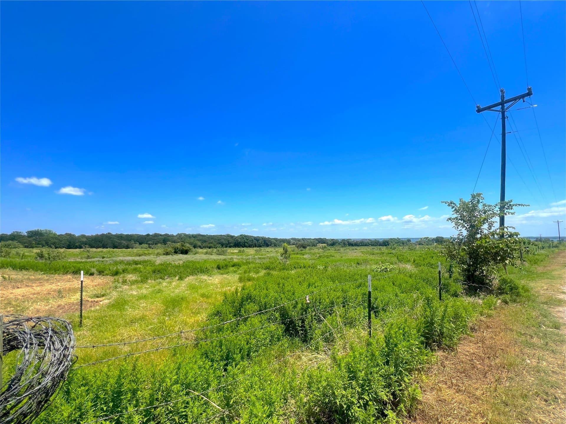 3.61 acres in Navarro County - photo 6