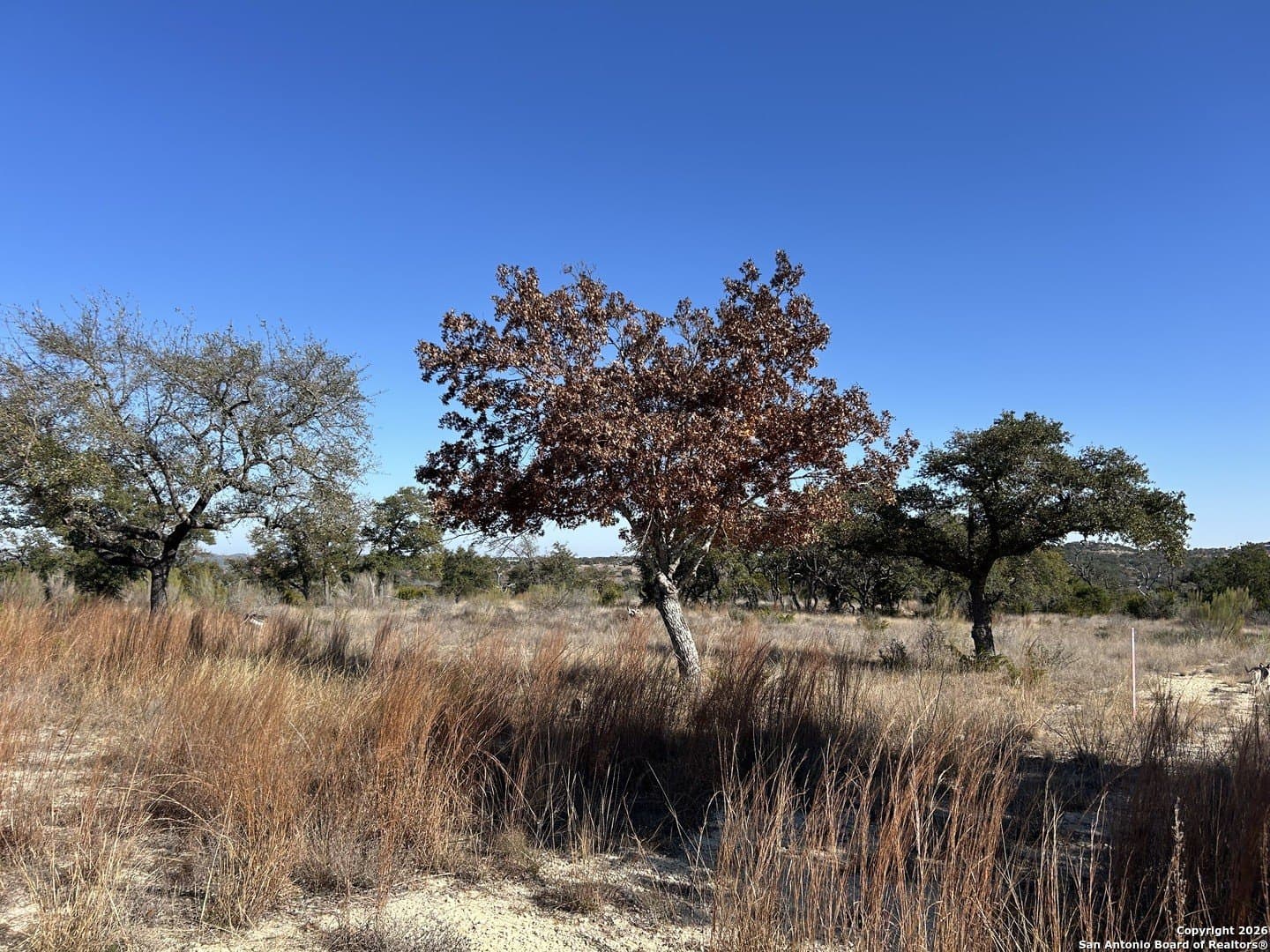 5.01 acres in Kerr County - photo 14