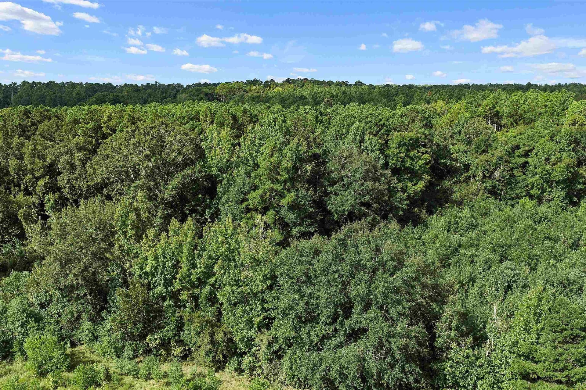 170 acres in Texas County - photo 15