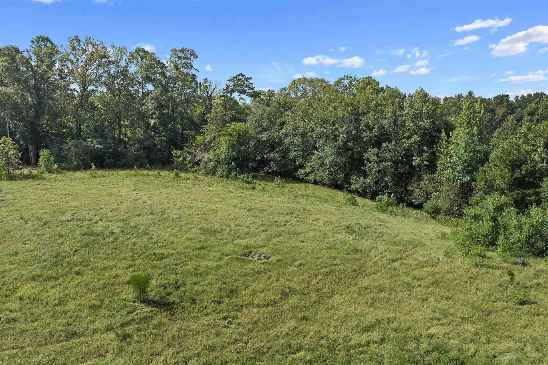170 acres in Texas County - photo 16