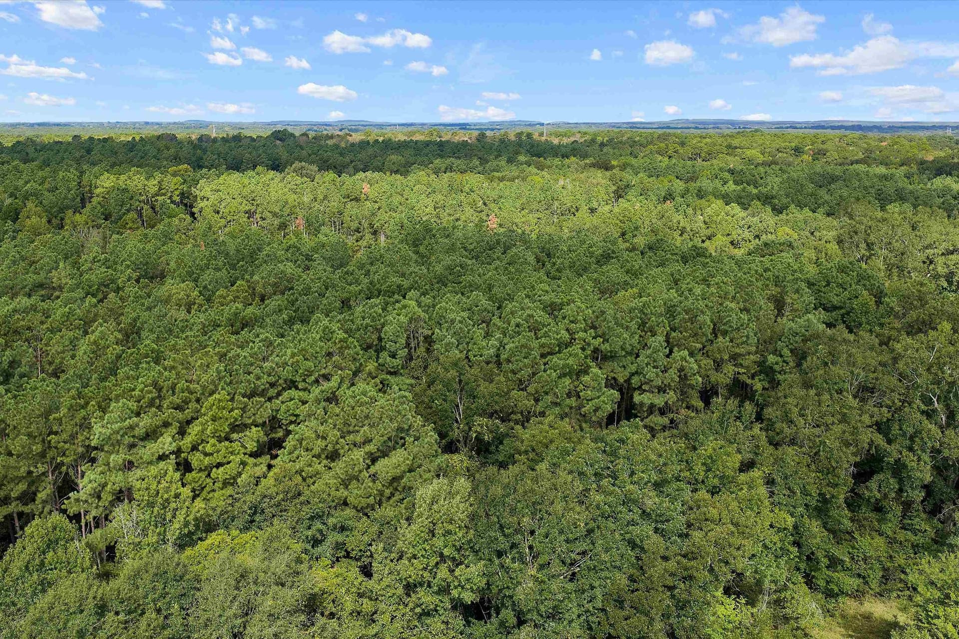 170 acres in Texas County - photo 17