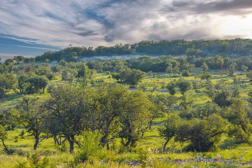 183 acres in Kimble County featured view