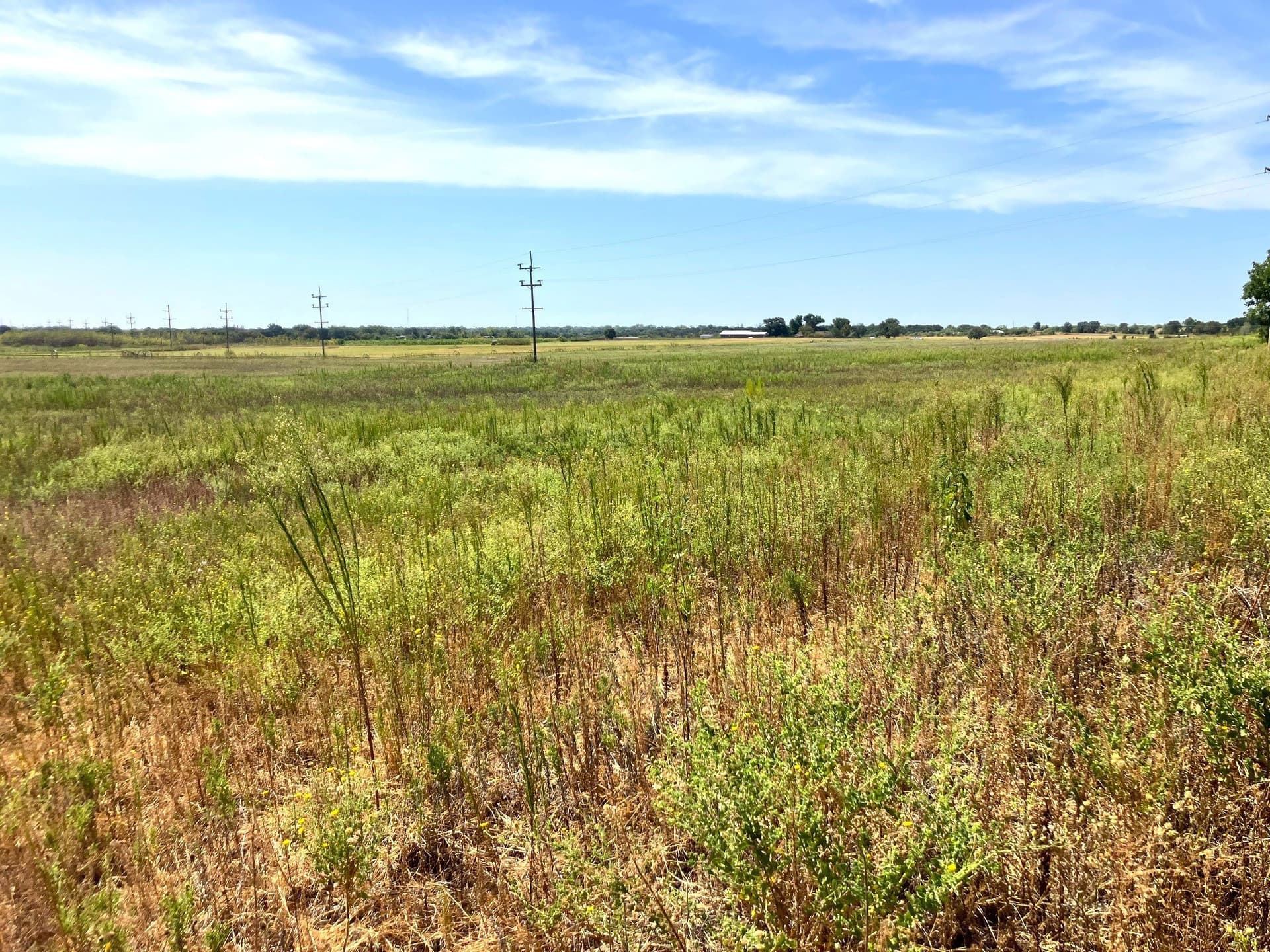25.49 acres in Comanche County - photo 14