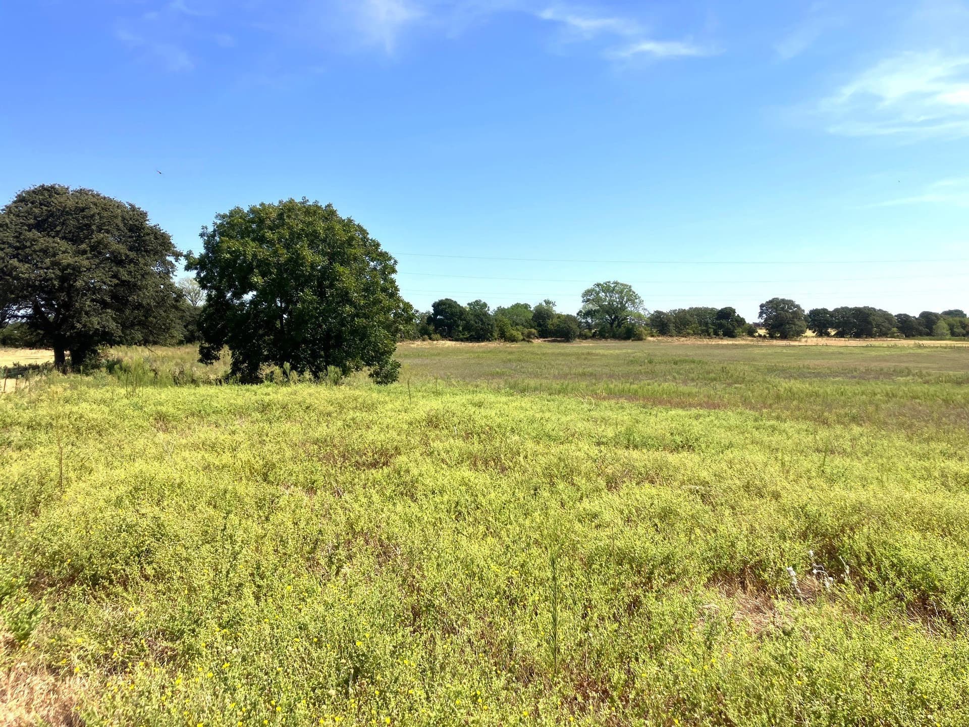 25.49 acres in Comanche County - photo 2