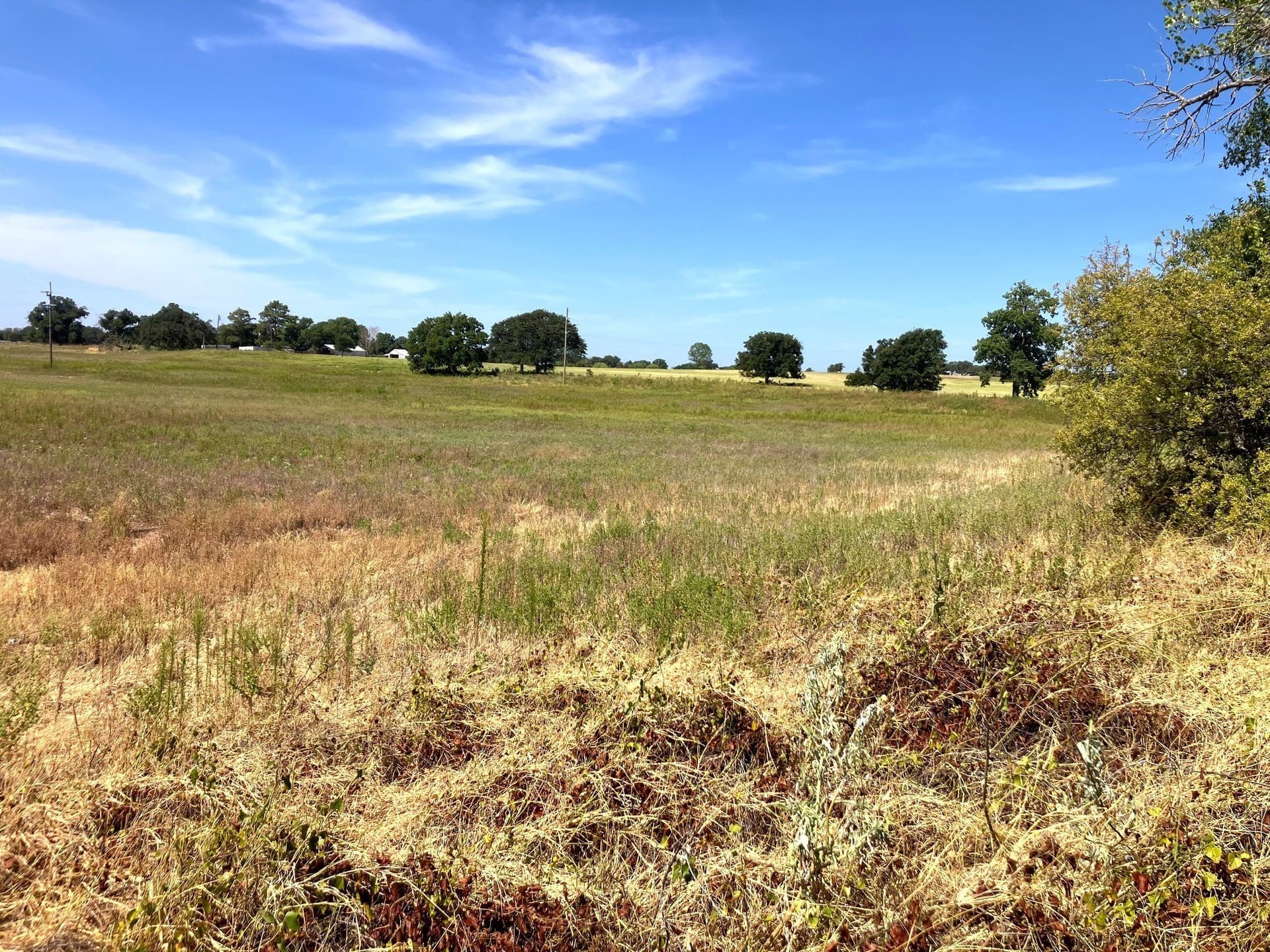 25.49 acres in Comanche County - photo 9