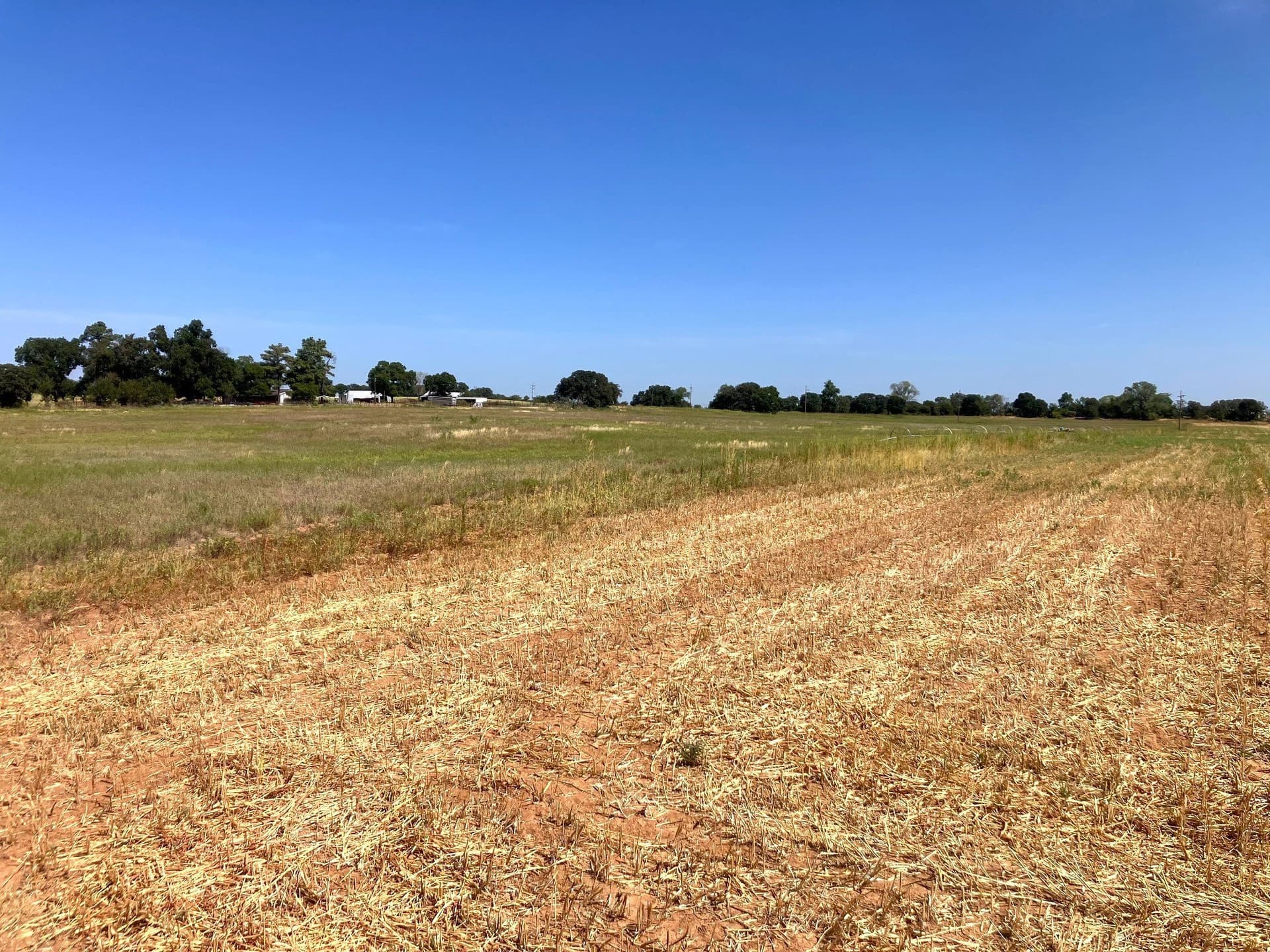 25.49 acres in Comanche County - photo 5
