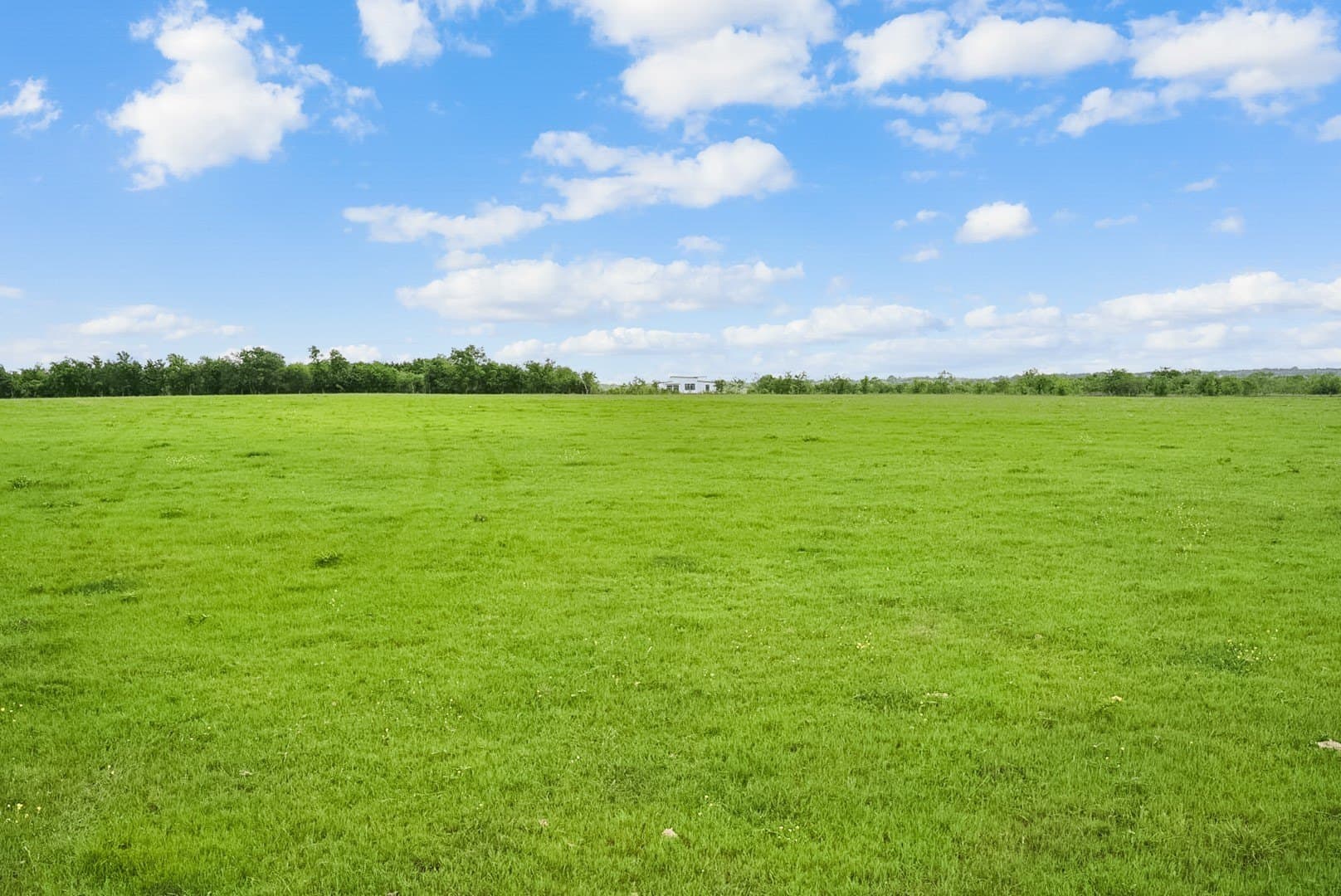 123 acres in Kaufman County - photo 12