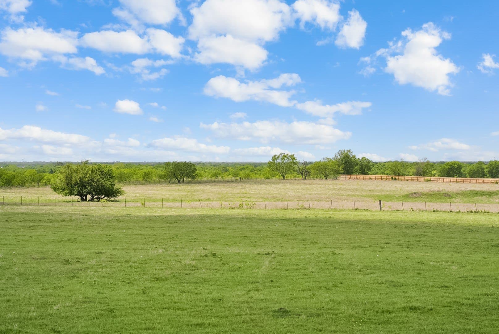 123 acres in Kaufman County - photo 16