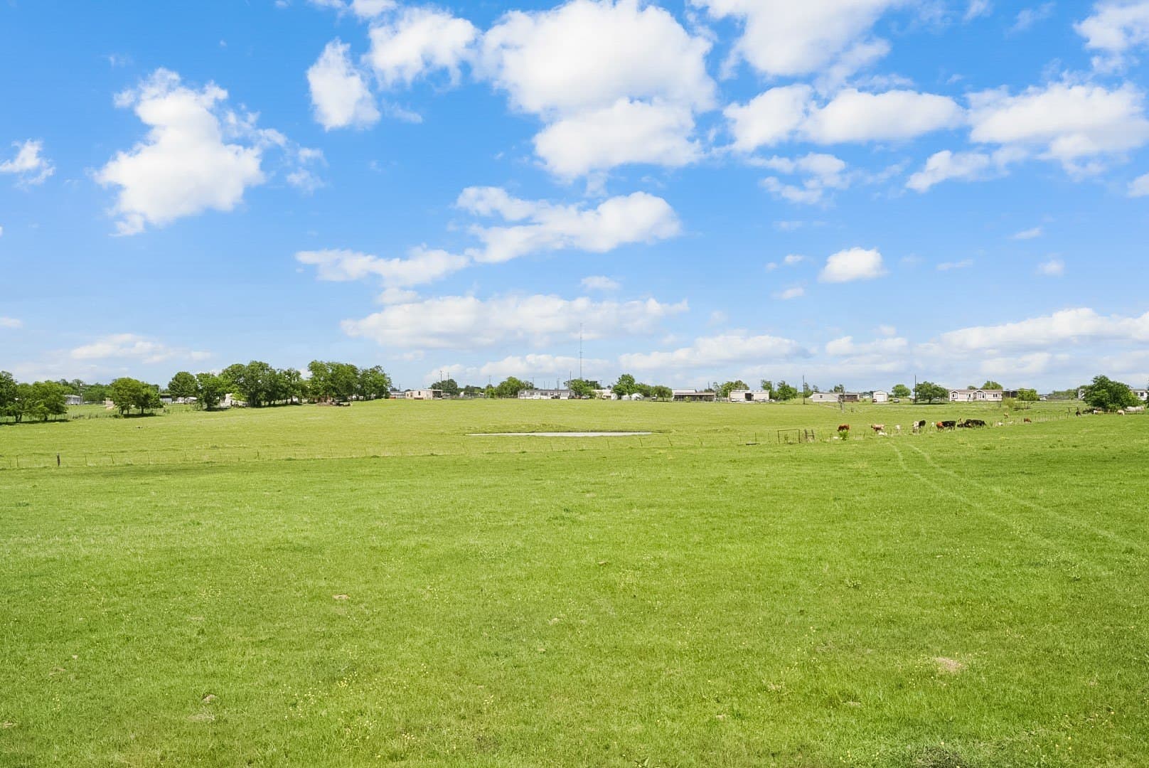 123 acres in Kaufman County - photo 6