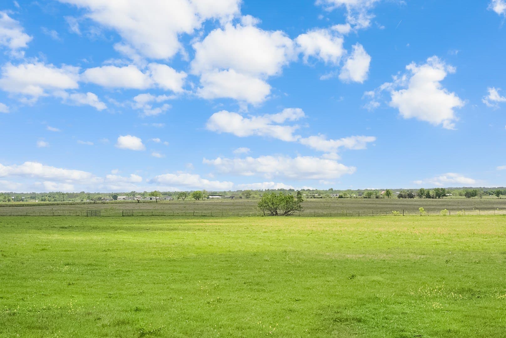 123 acres in Kaufman County - photo 9