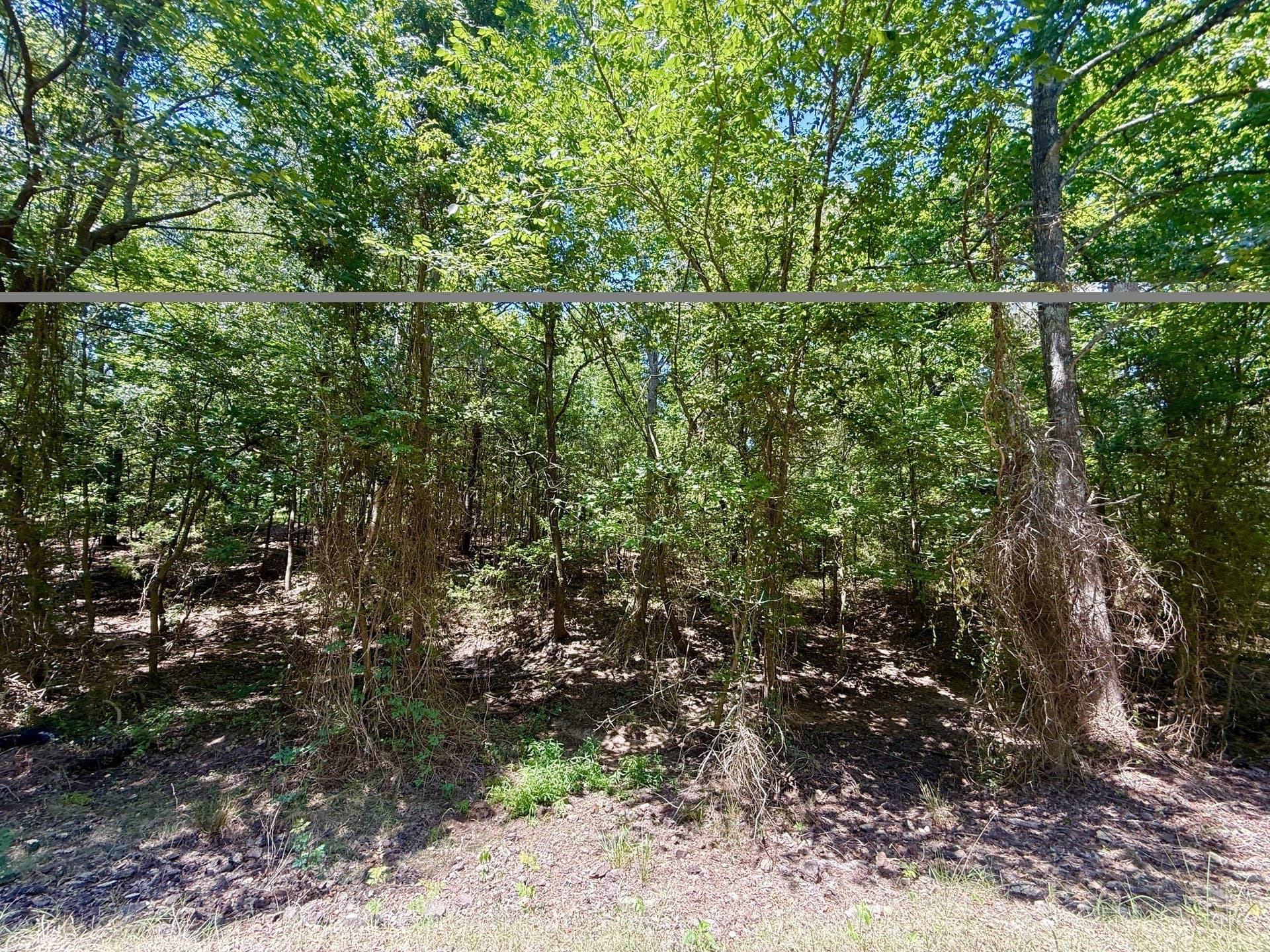 2.6 acres in Titus County gallery image 2