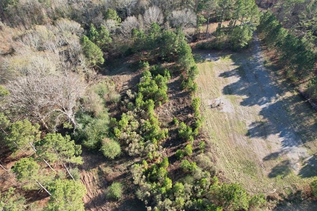 10 acres in Panola County featured view