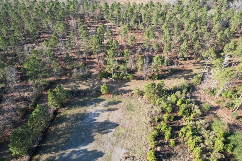 10 acres in Panola County gallery image 3