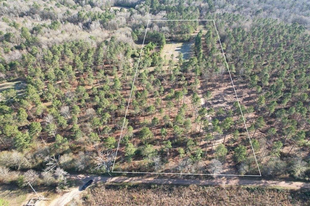 10 acres in Panola County gallery image 2