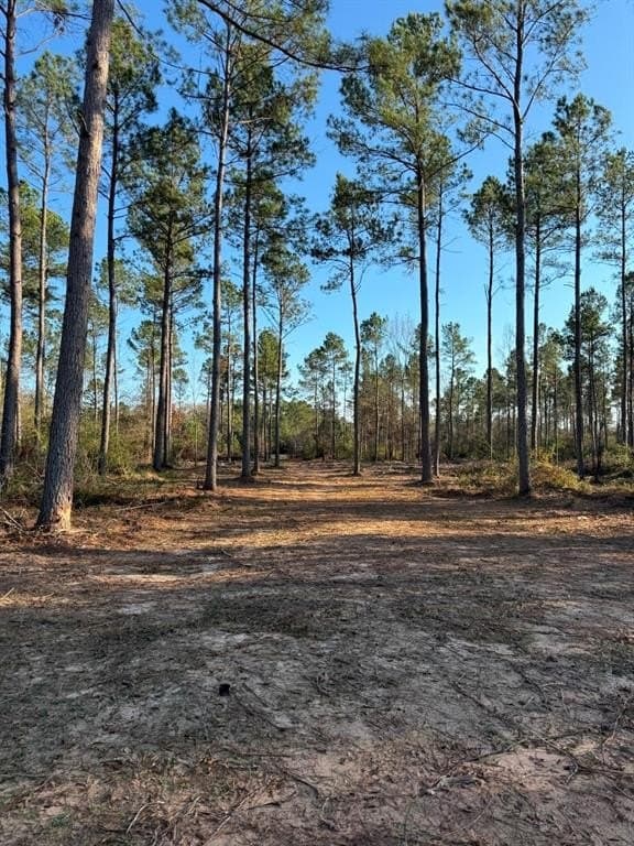 10 acres in Panola County