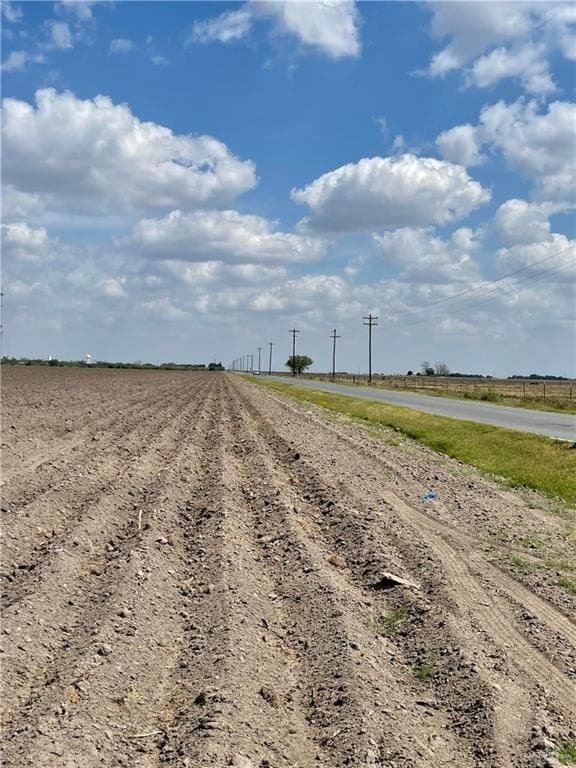 95.93 acres in Hidalgo County gallery image 3
