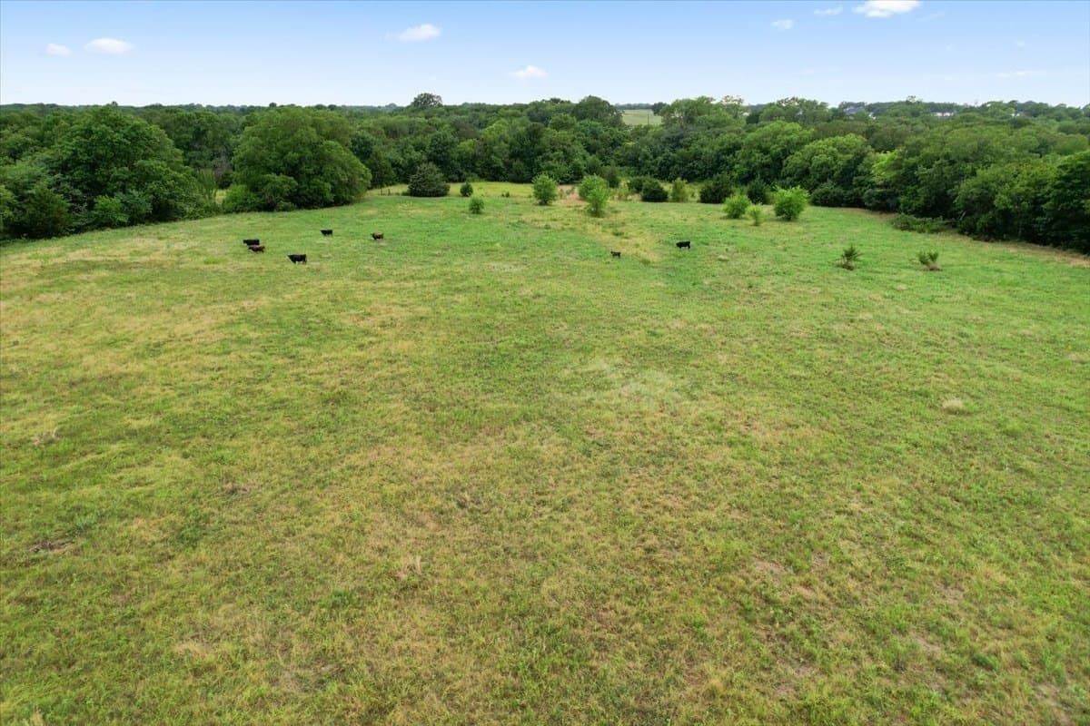 11 acres in Grayson County gallery image 2