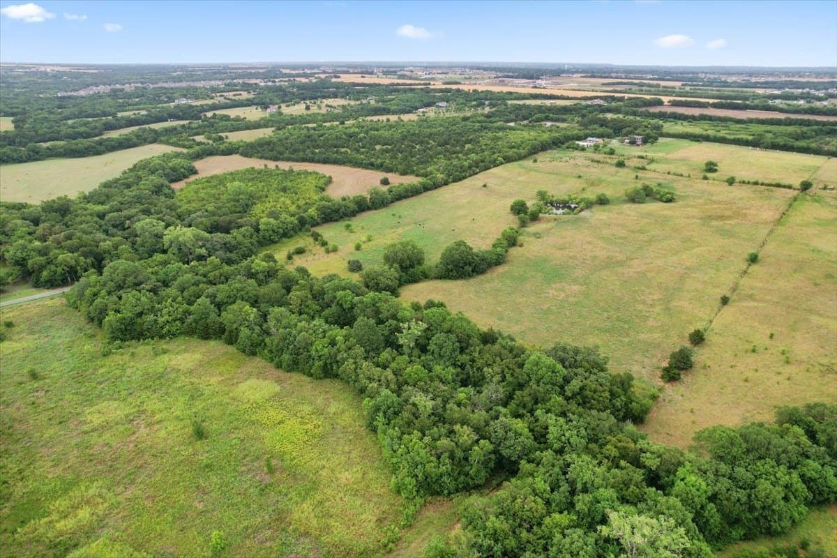 11 acres in Grayson County gallery image 4