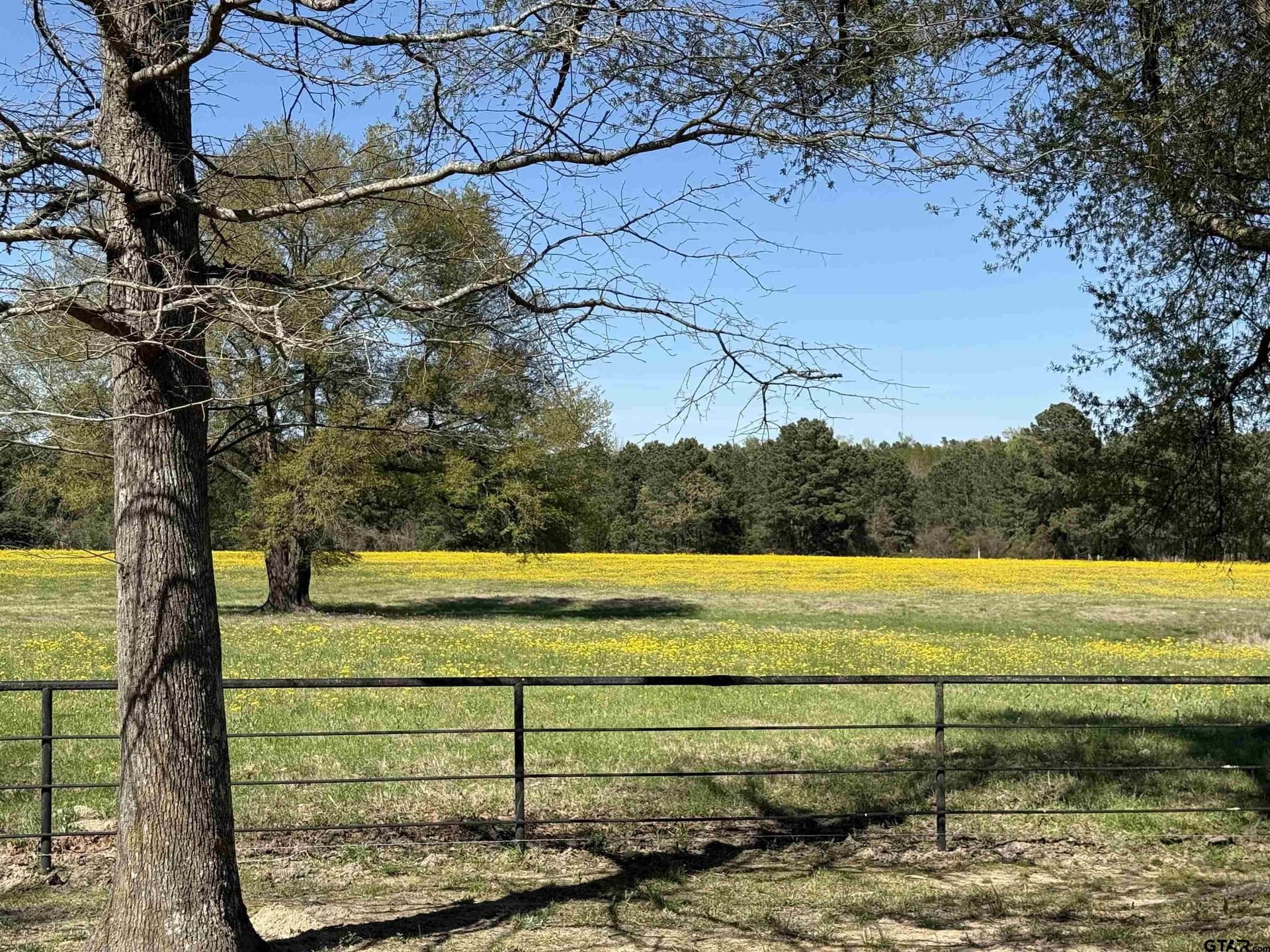 20 acres in Cherokee County featured view