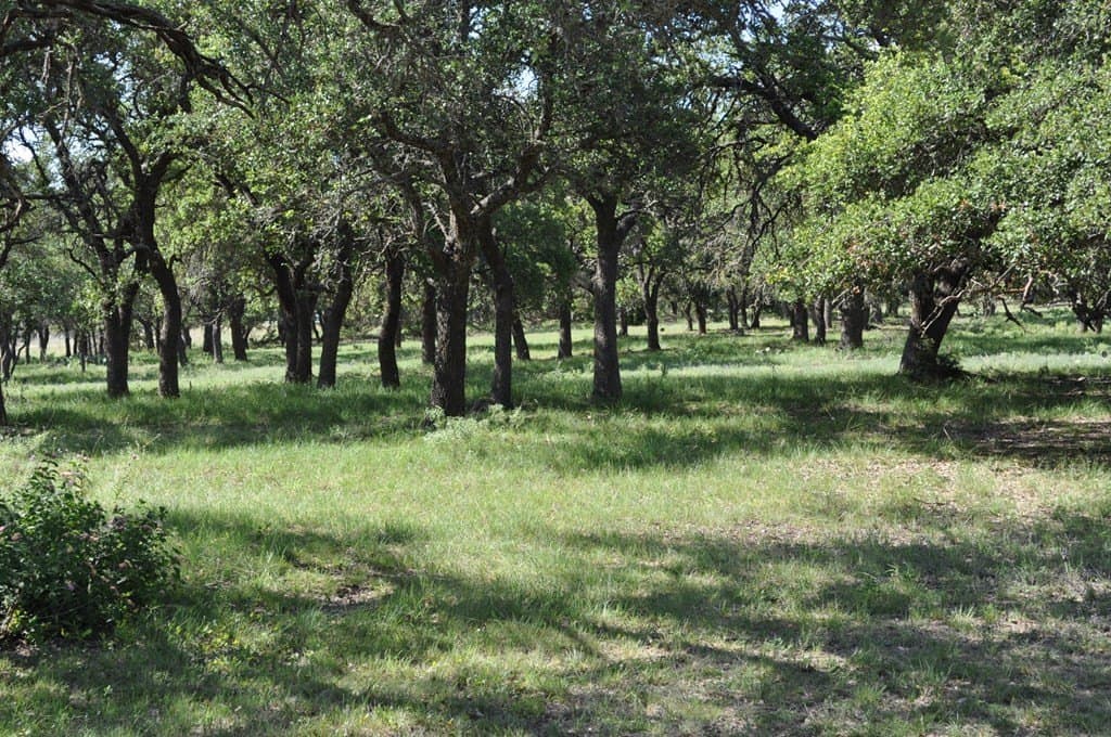 157 acres in Kimble County - photo 2