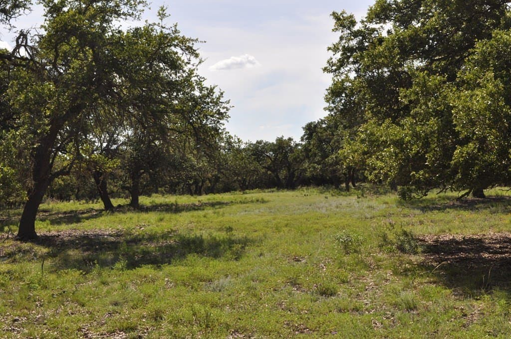 157 acres in Kimble County - photo 3