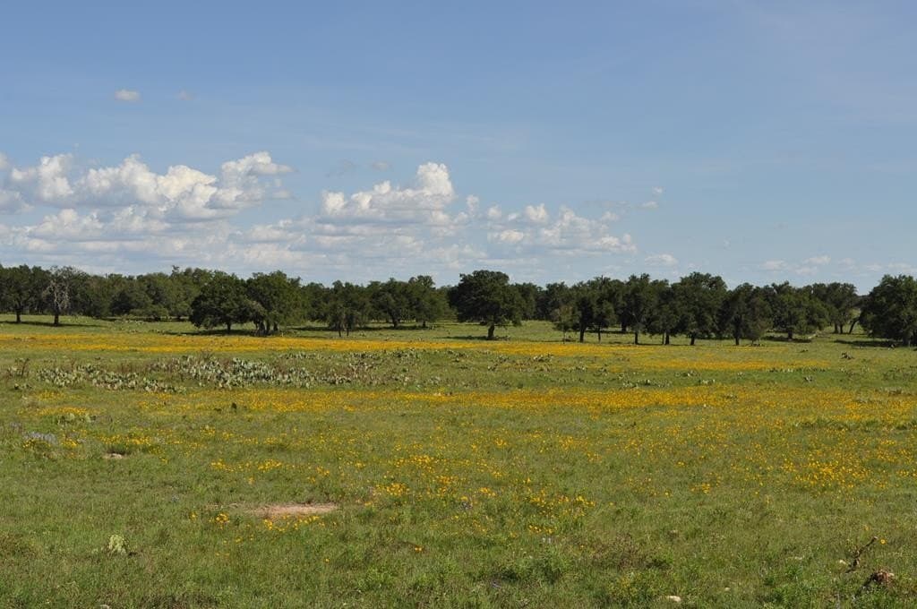 157 acres in Kimble County