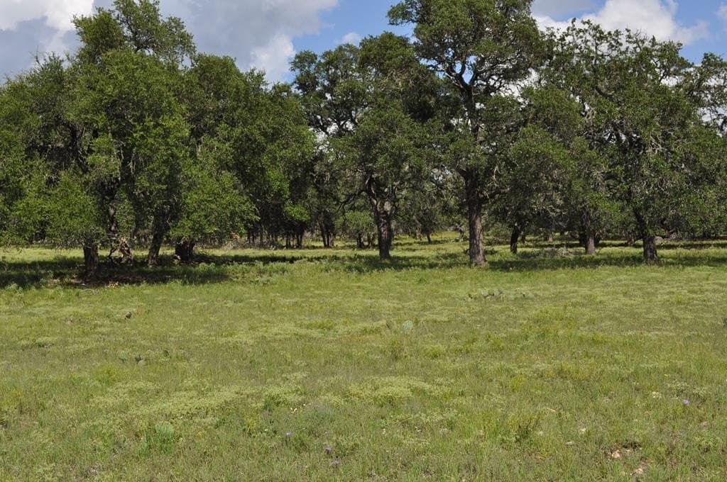 157 acres in Kimble County - photo 5