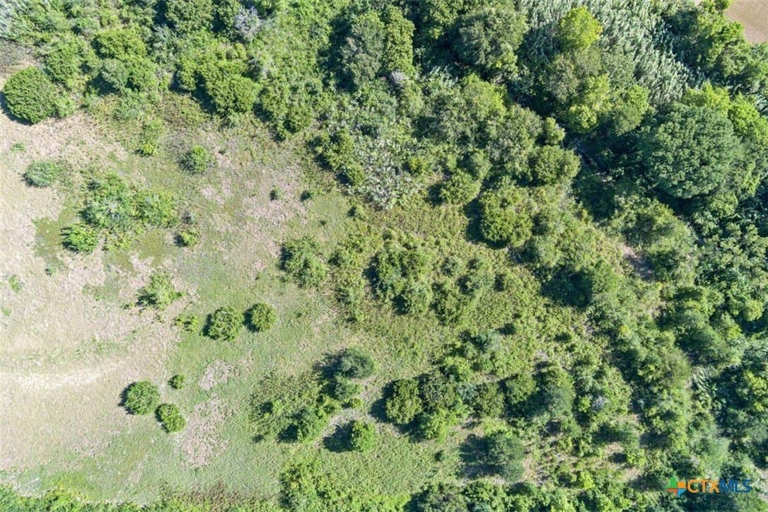 31.25 acres in Bell County - photo 15