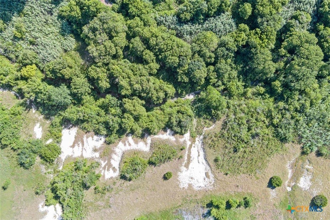 31.25 acres in Bell County - photo 16